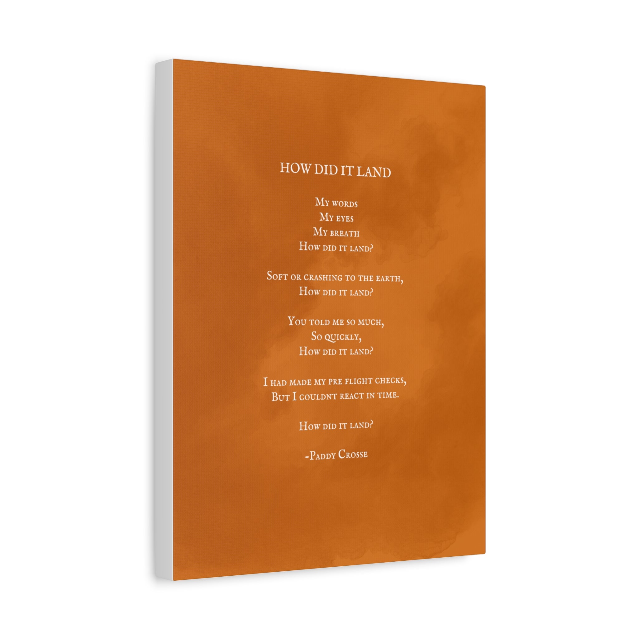 How Did It Land? - Canvas Print