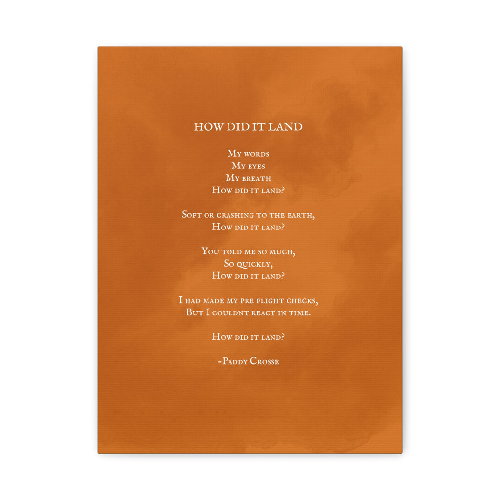 How Did It Land? - Canvas Print