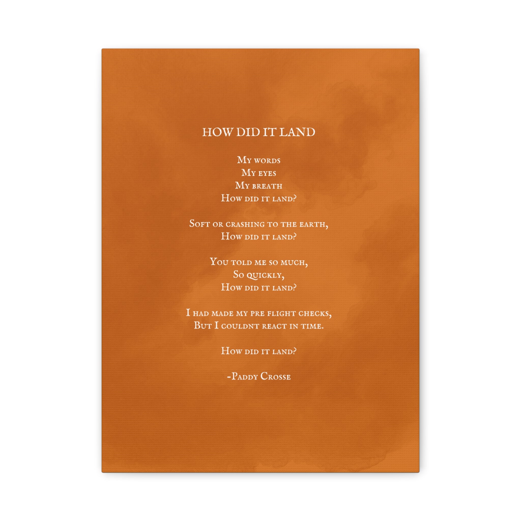 How Did It Land? - Canvas Print