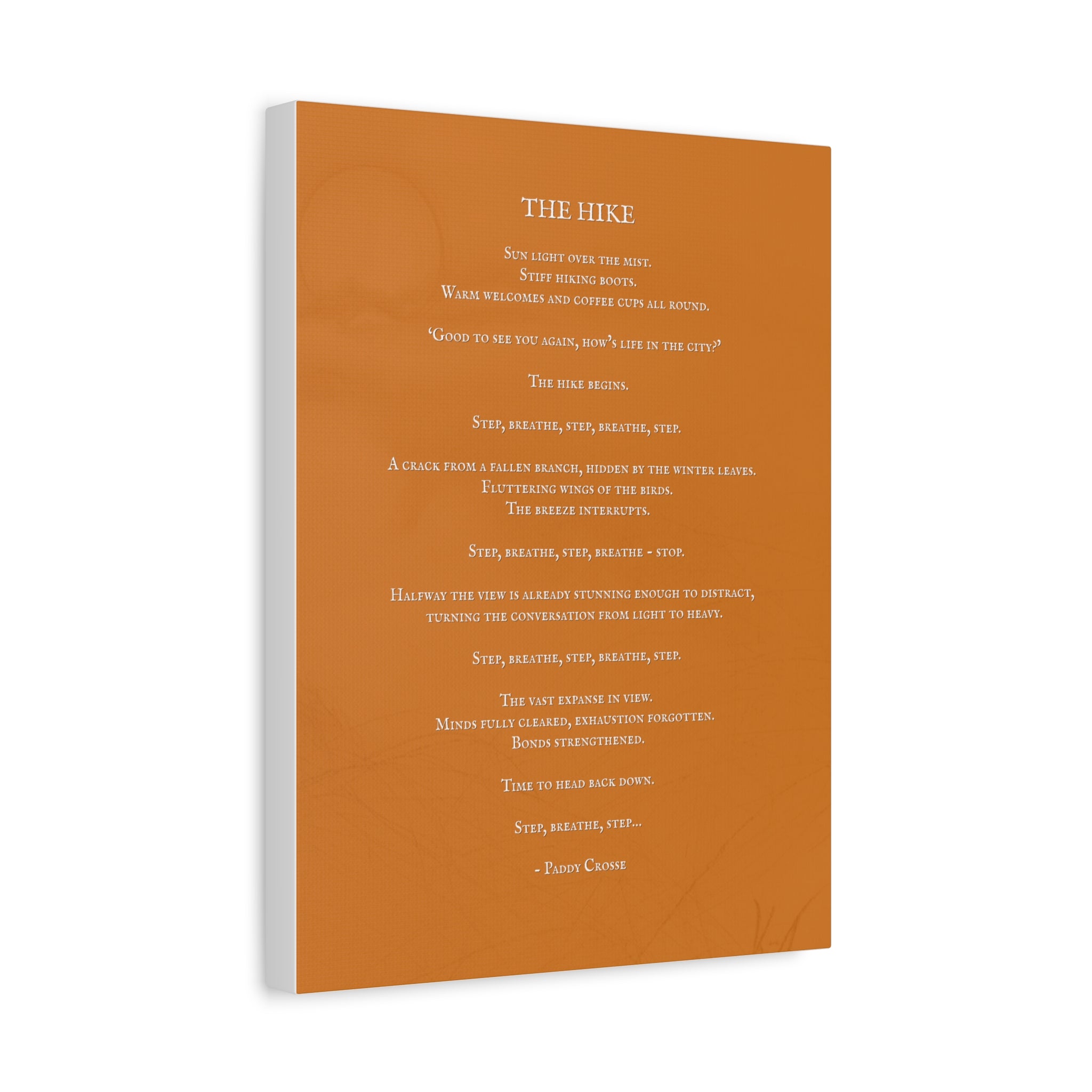 The Hike - Canvas Print